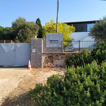 Cap Sounion Seafront Apartment - Adults Only Bagian luar foto