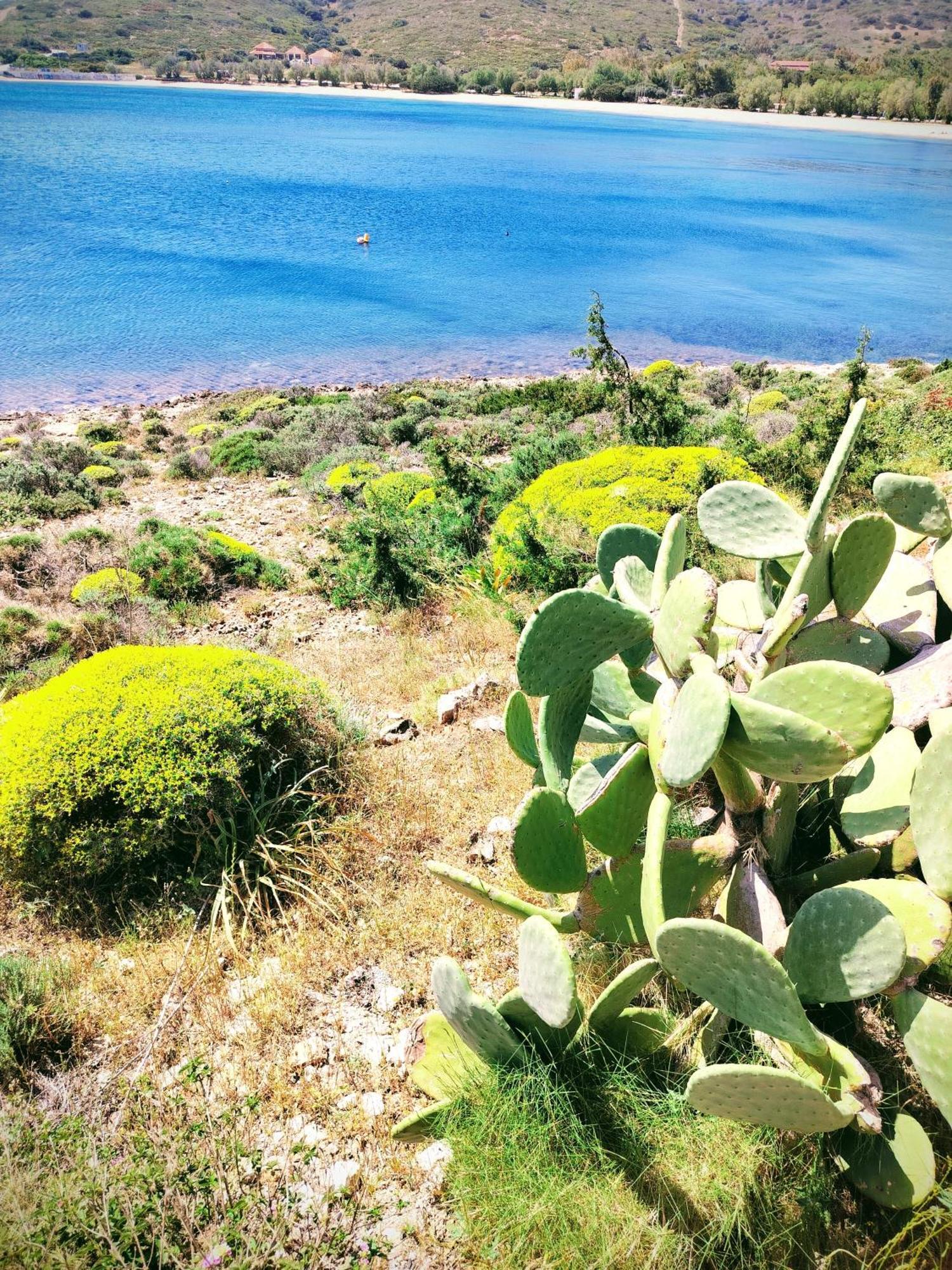 Cap Sounion Seafront Apartments -Adults Only Bagian luar foto