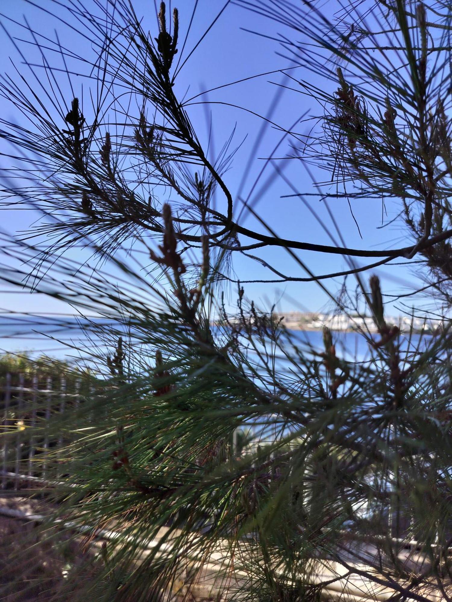 Cap Sounion Seafront Apartment - Adults Only Bagian luar foto