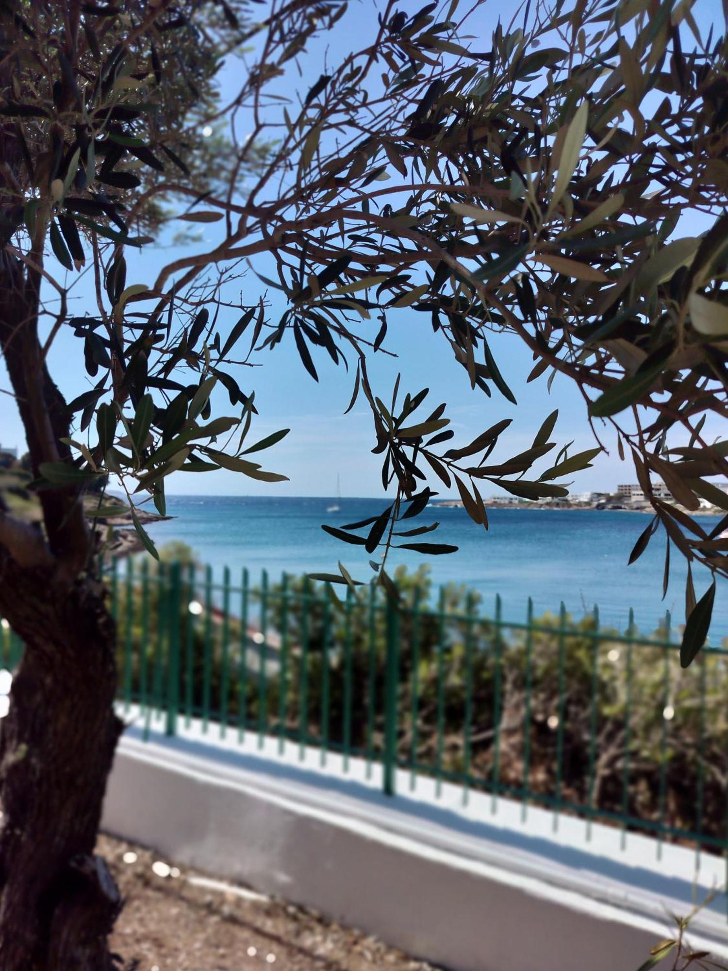 Cap Sounion Seafront Apartment - Adults Only Bagian luar foto