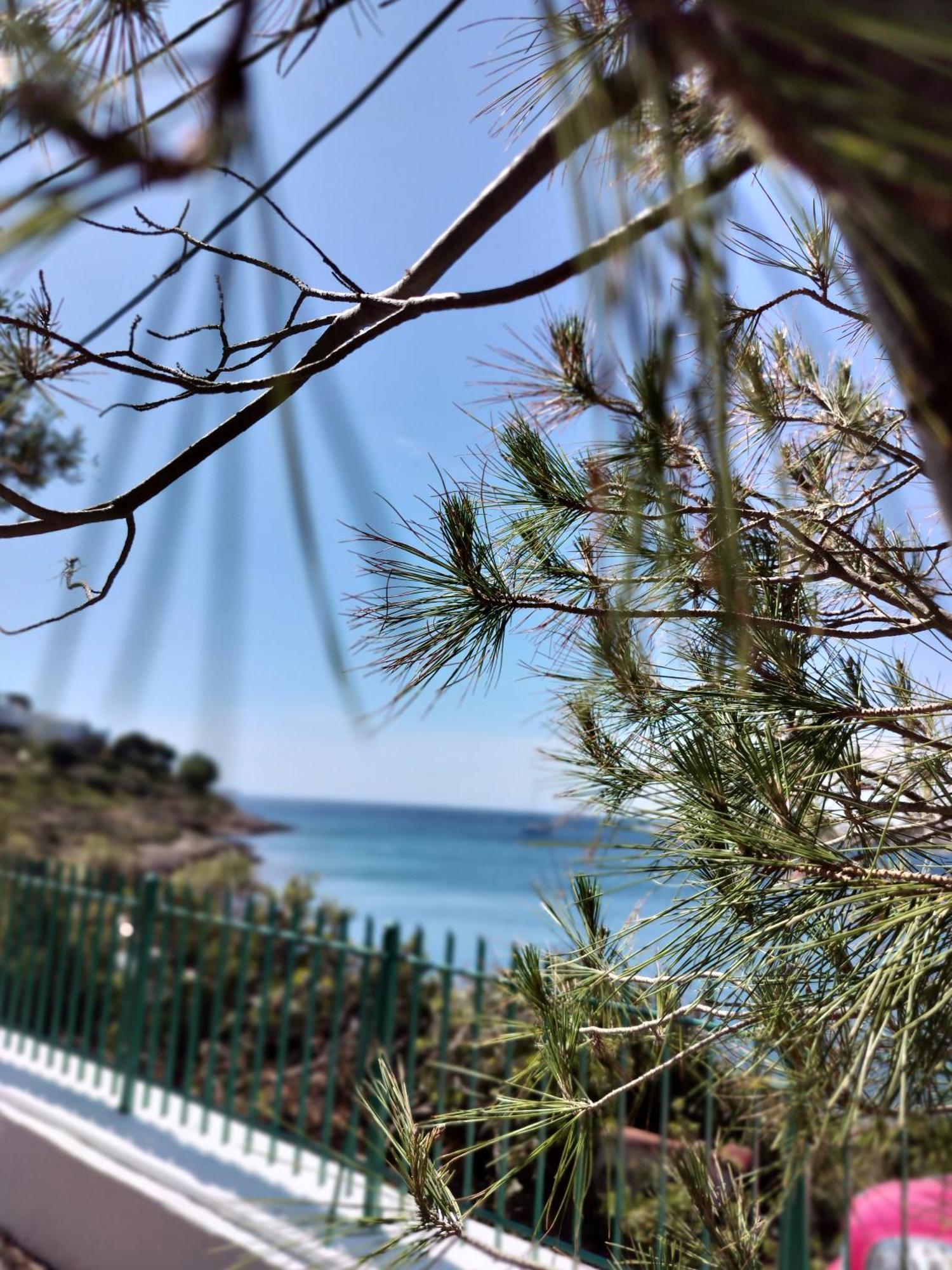 Cap Sounion Seafront Apartment - Adults Only Bagian luar foto