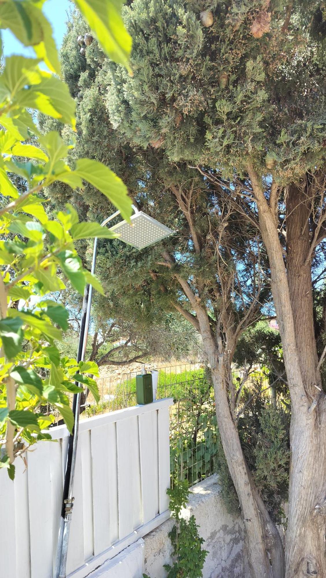 Cap Sounion Seafront Apartments -Adults Only Bagian luar foto